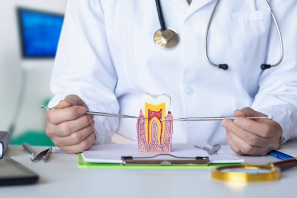 Best Walk-In Emergency Dental Services in Oglala, SD